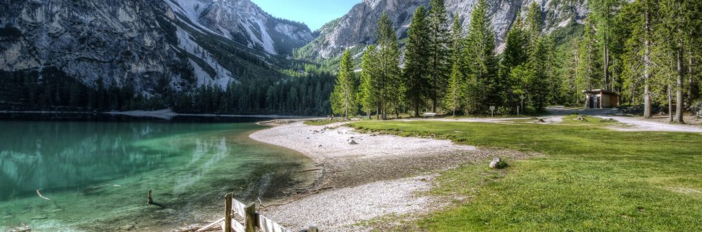 新鮮手做番茄義大利麵醬